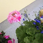 Bed and Breakfast Haus Amalia 3*