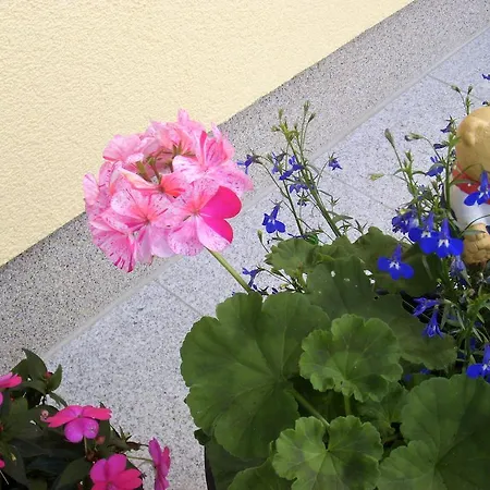 Bed and breakfast Haus Amalia 3*