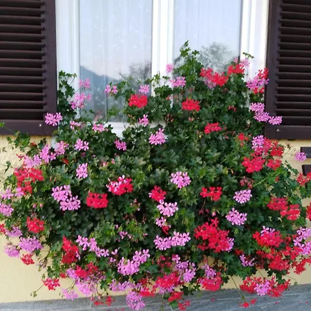 Haus Amalia Oda ve Kahvaltı