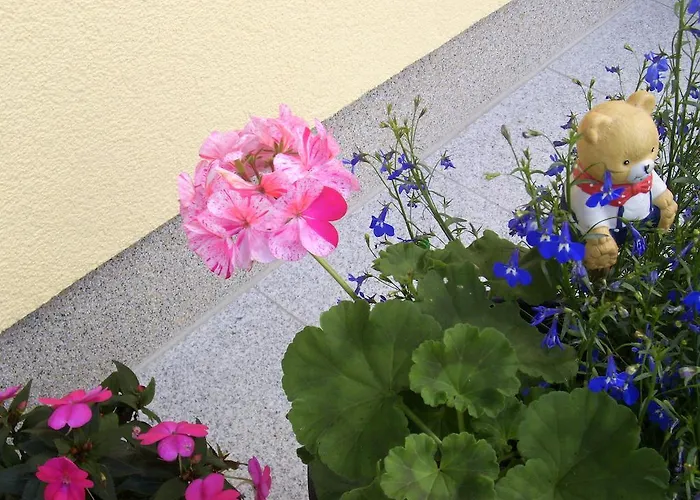 Bed & Breakfast Haus Amalia 3*